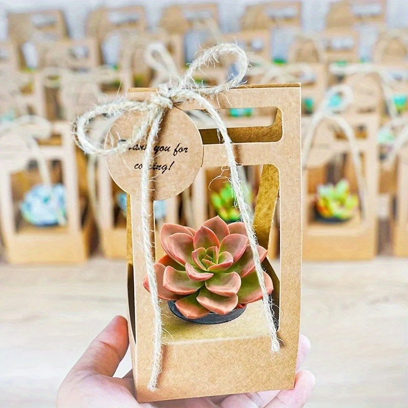 10Set Succulent Wrap Gift Bags - огляд і ціна Flower Wrap Kraft
