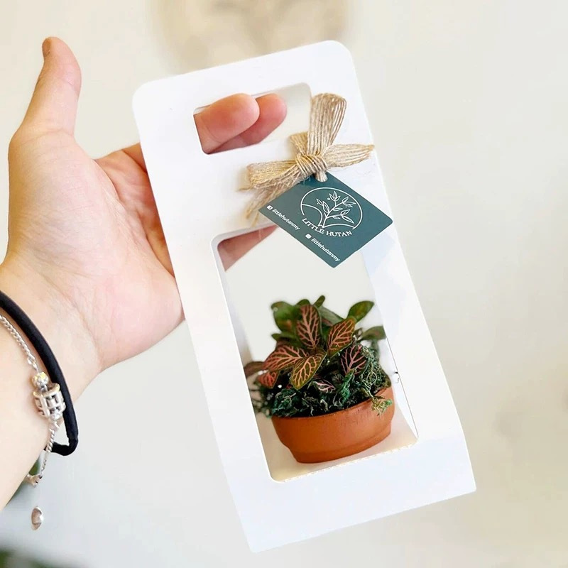 10Set Succulent Wrap Gift Bags - огляд і ціна Flower Wrap Kraft